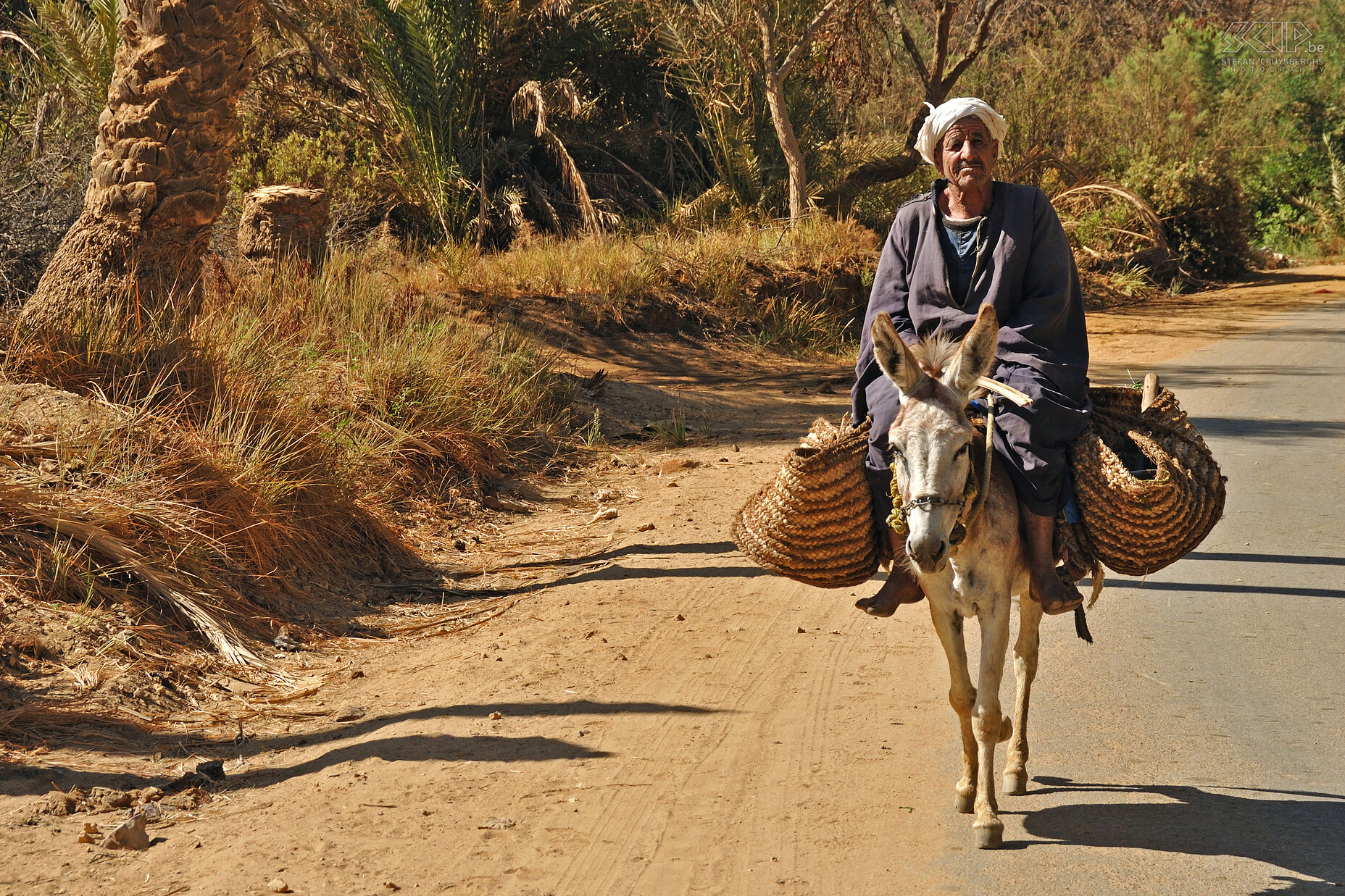 Bawiti - Old man on his donkey An old man on his donkey in the palm clad oasis of Bawiti. Stefan Cruysberghs